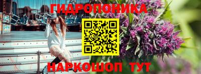 скорость Пушкино