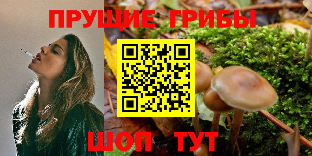 Ртищево  Галлюциногенные грибы GOLDEN TEACHER  Вход с VPN  Псилоцибиновые грибы мицелий 