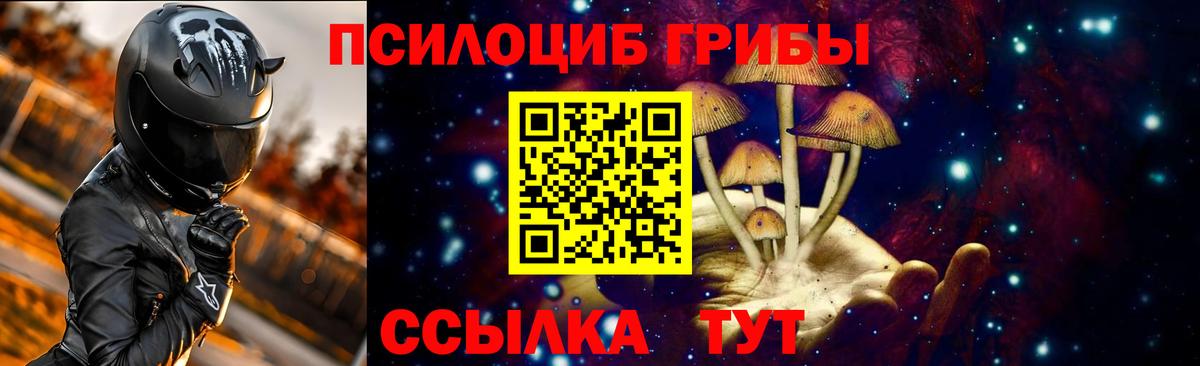 Галлюциногенные грибы GOLDEN TEACHER Ртищево